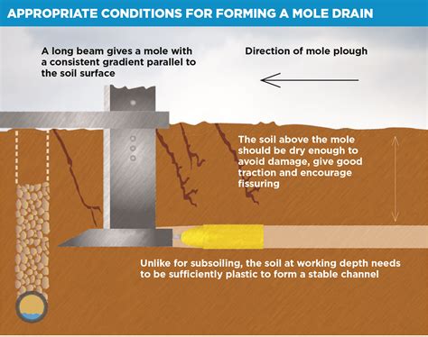 mole soil drainage machine